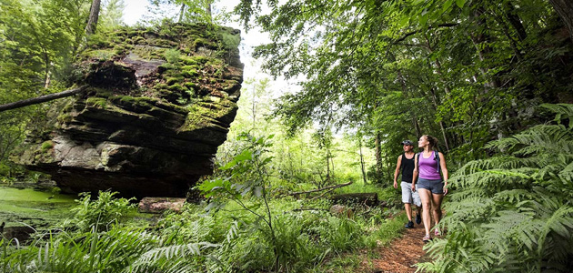 A picture of Rocky Arbor